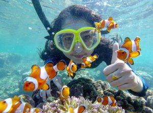 Snorkeling