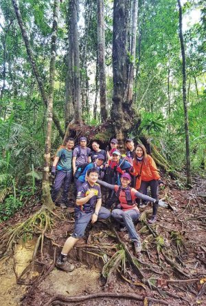 Juara Jungle Tracking