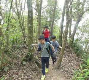 Juara Jungle Tracking