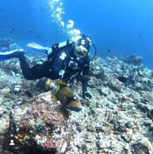 snorkeling