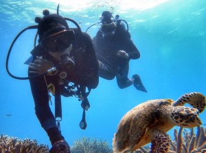 snorkeling