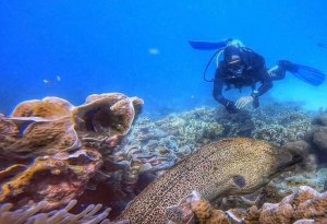 snorkeling