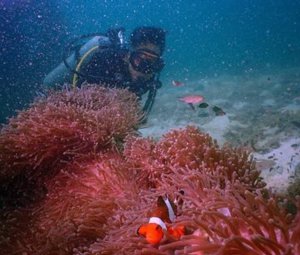 snorkeling