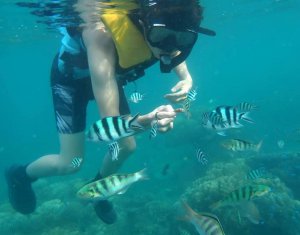 snorkeling