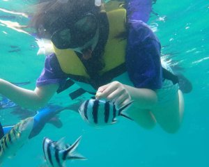 snorkeling