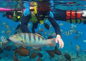 snorkeling