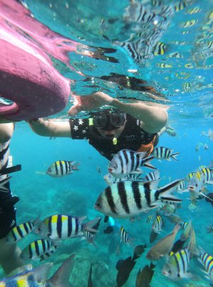 snorkeling