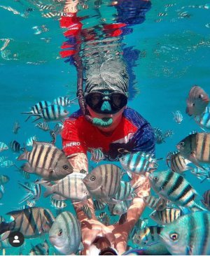 snorkeling