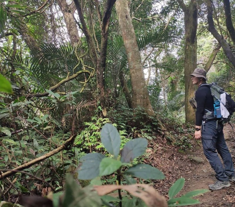 Juara Jungle Tracking