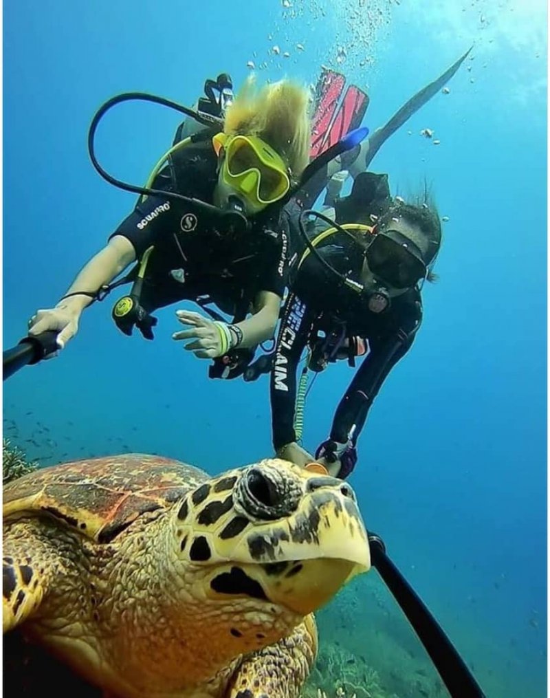 snorkeling