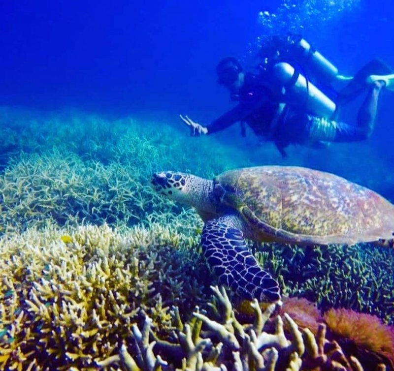 snorkeling