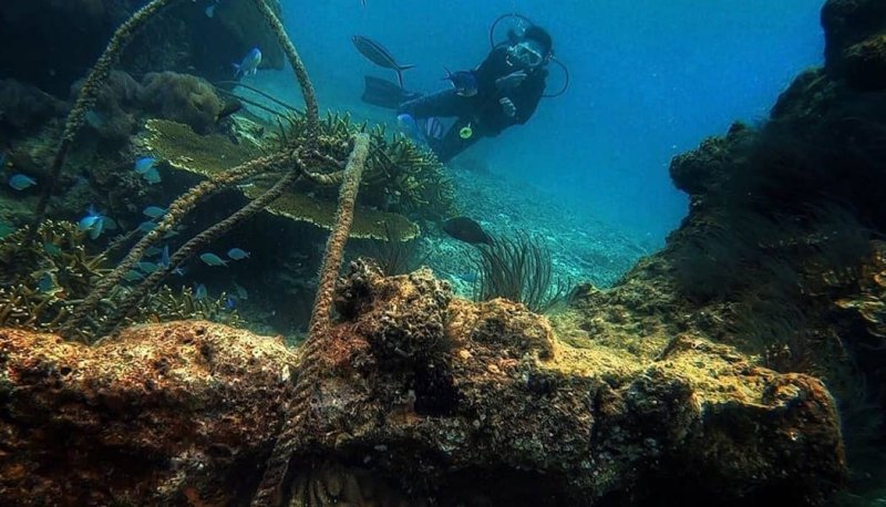 snorkeling