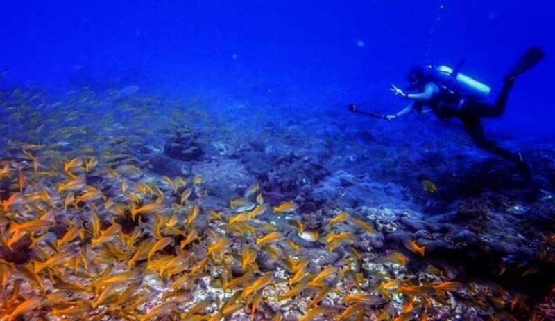 snorkeling