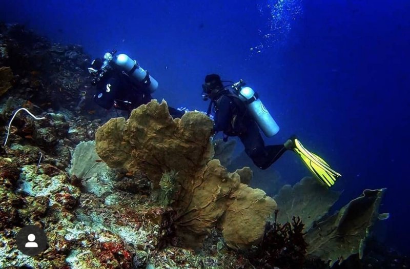 snorkeling