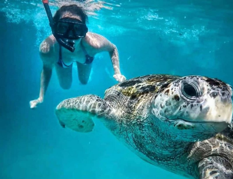 snorkeling