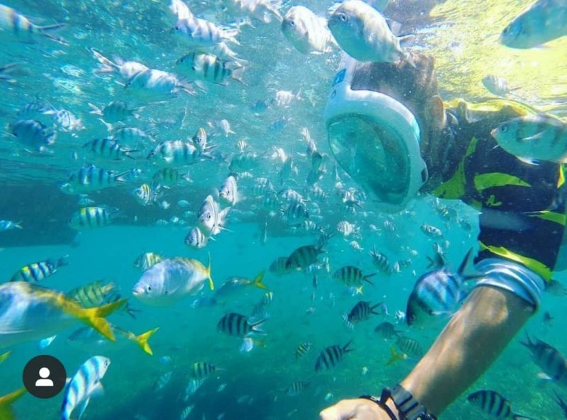 snorkeling